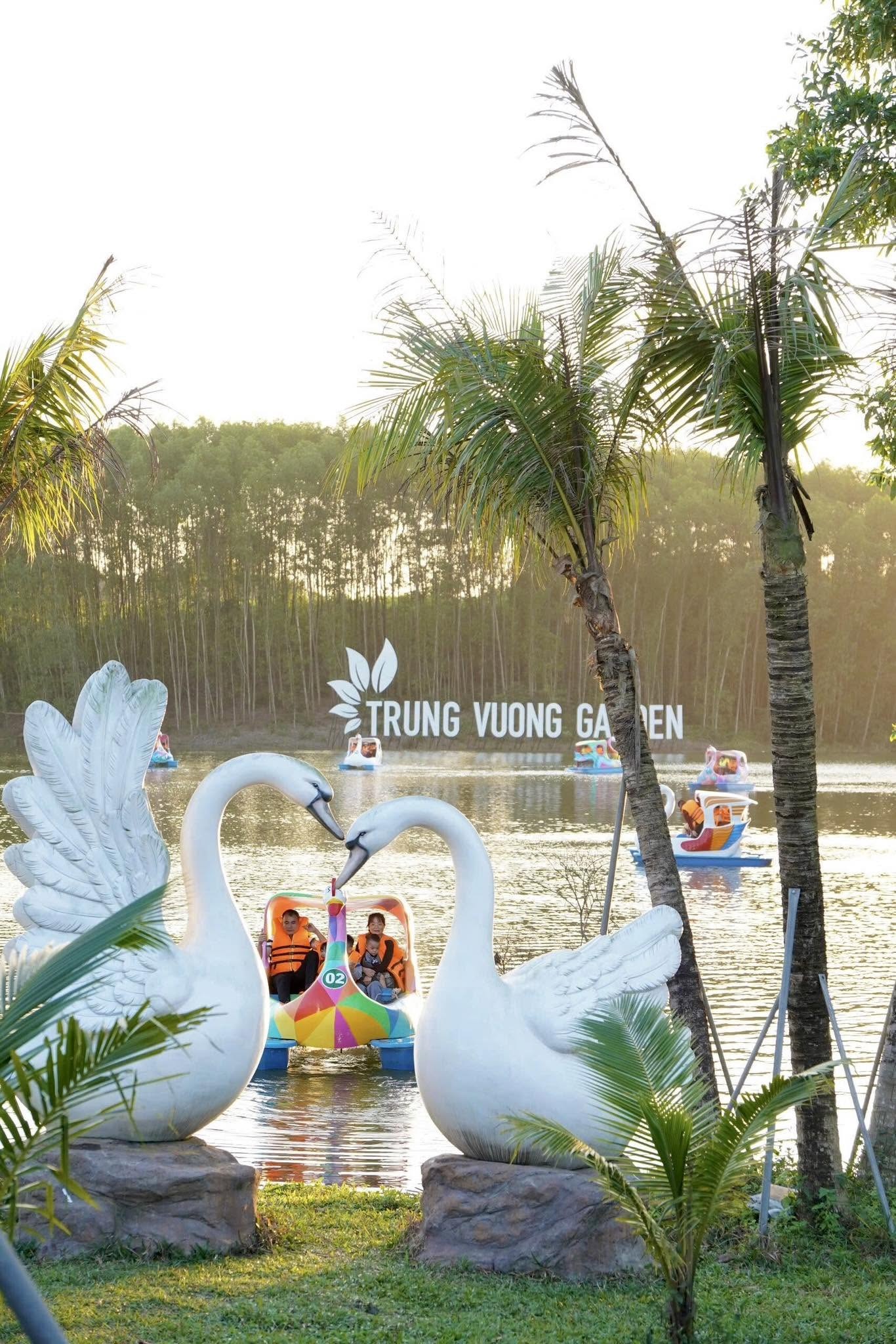 Đạp vịt hồ thiên nga Trung Vương Garden
